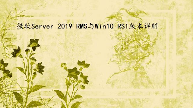 微软Server 2019 RMS与Win10 RS1版本详解